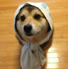 ͷ��