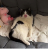ͷ��