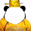 ͷ��