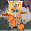 ͷ��
