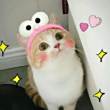 ͷ