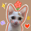 ͷ��