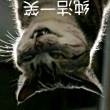 ͷ