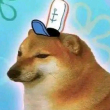 ͷ��