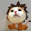 ͷ