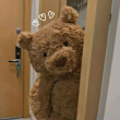 ͷ