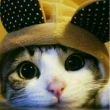 ͷ��
