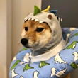 ͷ