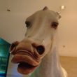 ͷ��