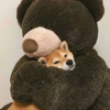 ͷ��