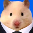 ͷ