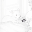 ͷ��