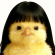 ͷ��