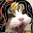 ͷ