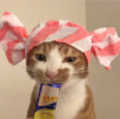 ͷ��