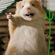 ͷ��