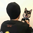 ͷ
