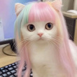 ͷ��