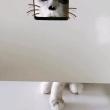 ͷ��