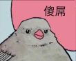 ͷ��