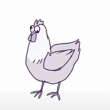 ͷ��