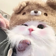 ͷ