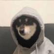 ͷ��