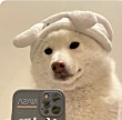 ͷ