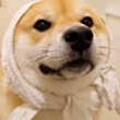 ͷ