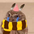 ͷ��
