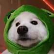 ͷ