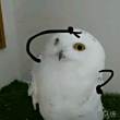 ͷ