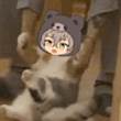 ͷ
