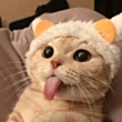 ͷ