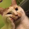 ͷ��