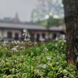 ͷ��