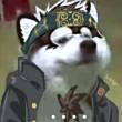 ͷ