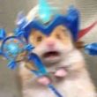 ͷ��