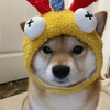 ͷ��