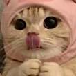 ͷ