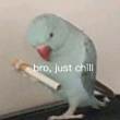 ͷ