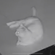ͷ��