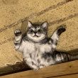 ͷ