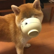 ͷ��