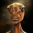 ͷ