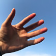 ͷ
