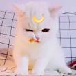 ͷ