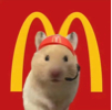 ͷ��