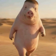 ͷ��