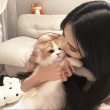 ͷ��